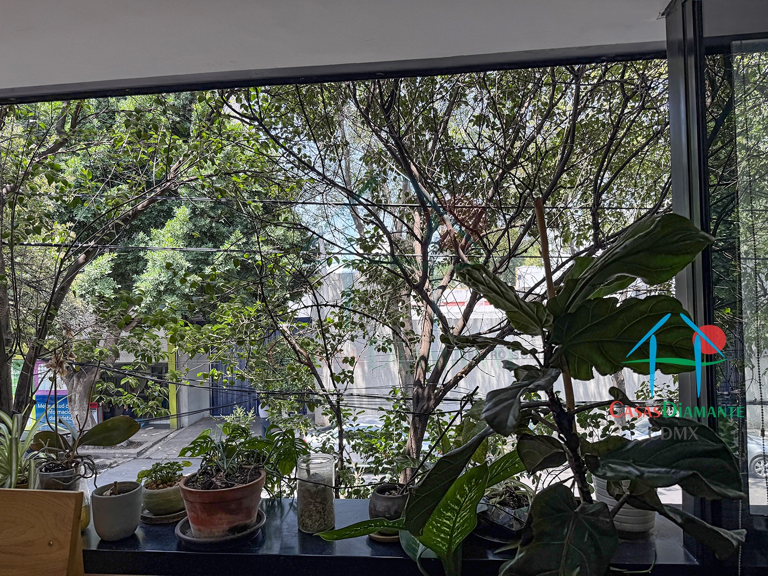 Roma Norte Departamento Orquídea - Terraza planta alta 4 Roma Norte Departamento Orquídea - Terraza planta alta 4